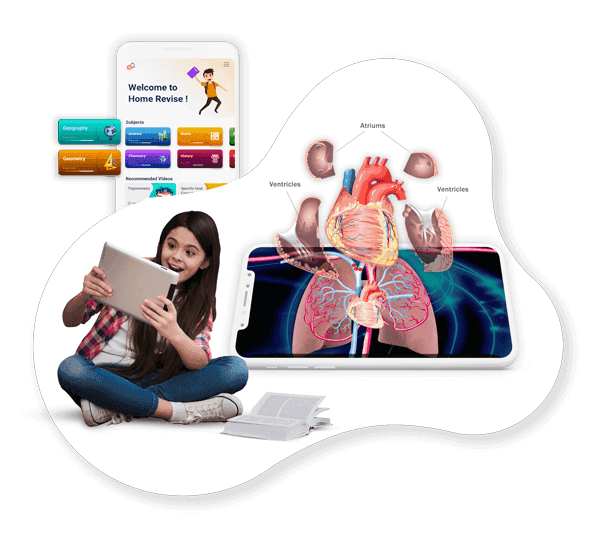 Heart-Mockup
